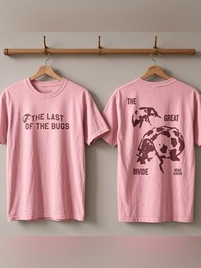Noah Kahan Last Of The Bugs Great Divide Ladybug Light Pink Folk Graphic T-Shirt